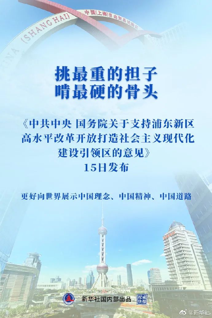 浦东建设最新动态，引领城市发展的新浪潮