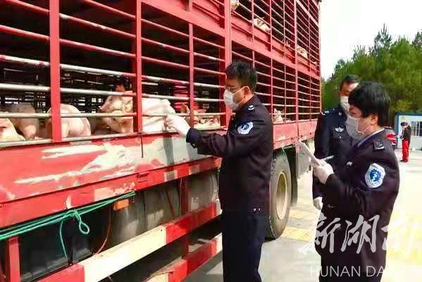 武冈市防疫检疫站人事调整推动防疫事业迈上新台阶