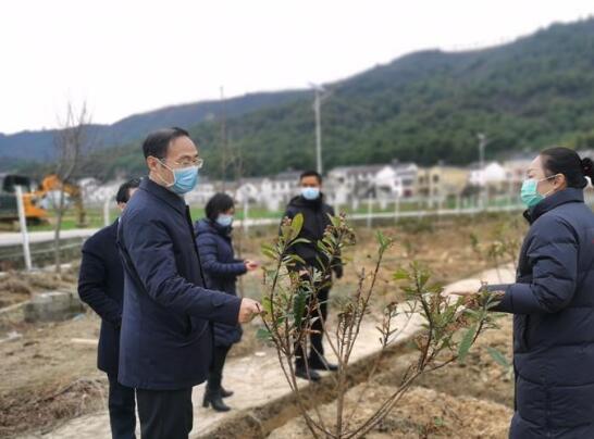 岳阳楼区防疫检疫站领导团队及工作概览