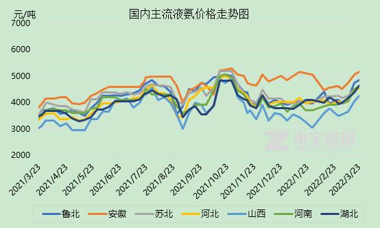 纵使余思弥漫 第4页