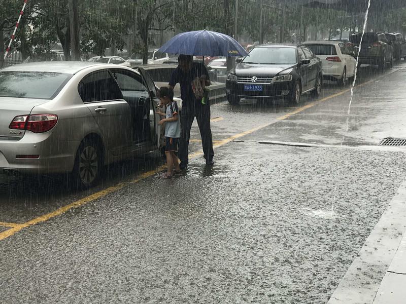 郑州暴雨最新动态，城市挑战与应对策略