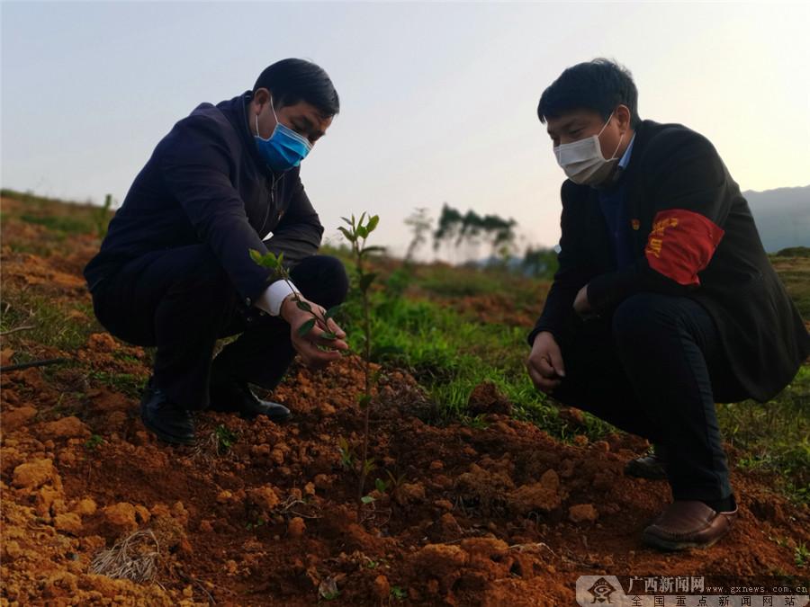 上林县防疫检疫站领导团队最新概况及工作概述