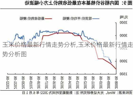 玉米价格行情走势图揭秘，市场分析与未来预测