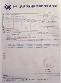 永城市防疫检疫站人事调整，强化防疫体系，保障群众健康安全