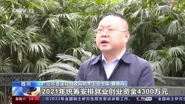 苍溪县文化局及关联单位招聘全解析