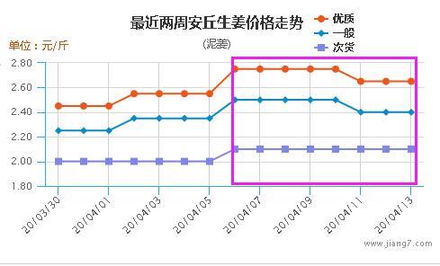 莱州大姜今日价格走势解析