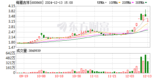 梅雁吉祥最新动态，蓄势待发，携手共创美好未来