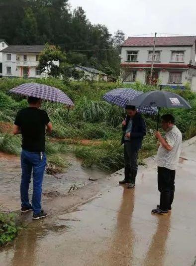 远安县防疫检疫站最新动态报道