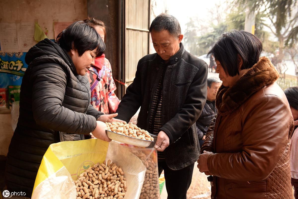 最新花生价格走势动态分析