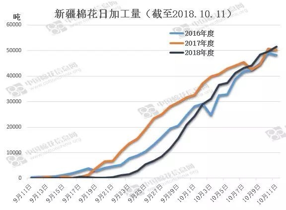 今日棉籽价格动态与市场分析摘要