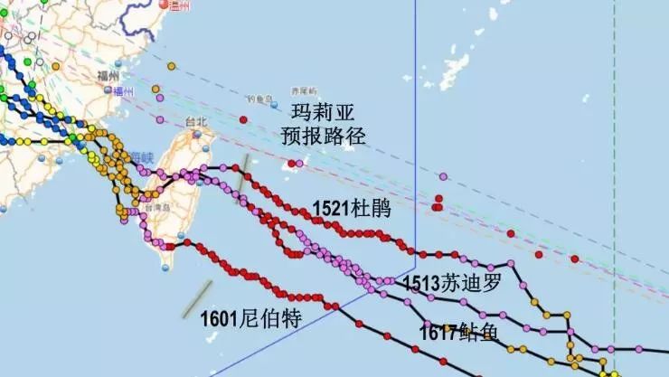 温州台风最新路径报告，实时更新，掌握台风动态