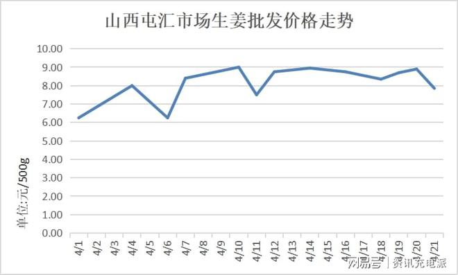 今日生姜价格动态，市场走势及影响因素深度解析