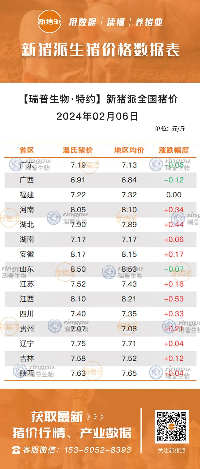 河南今日生猪价格最新动态分析