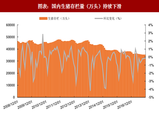 母猪存栏最新数据分析报告发布，揭示最新趋势与洞察