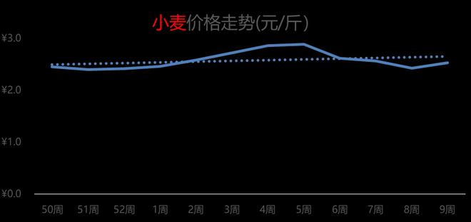 山东小麦最新价格动态解析