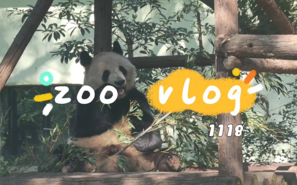 最新ZOO，重塑未来动物园面貌的蓝图