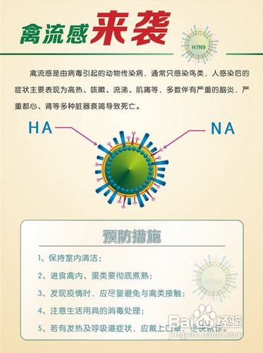 最新禽流感动态及其影响分析