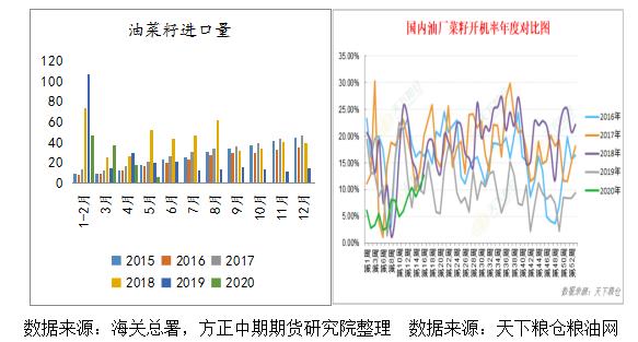 菜粕期货最新消息综述