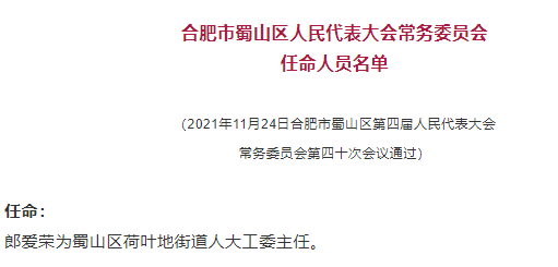 合肥市最新干部任免动态概览