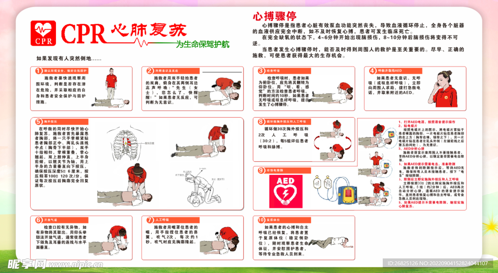 心肺复苏，最新指南与实践解析