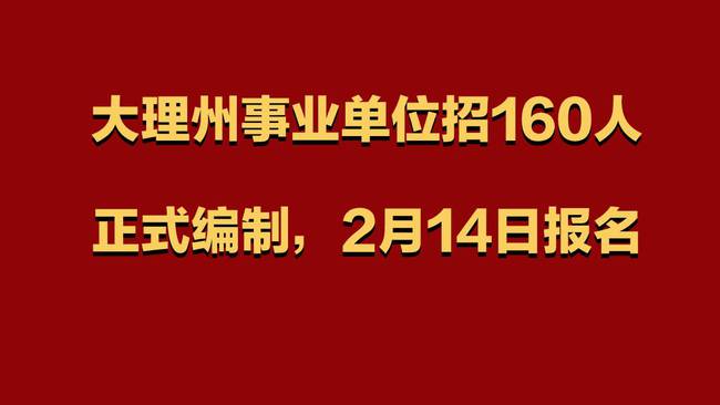 云南大理最新招聘动态及其影响分析