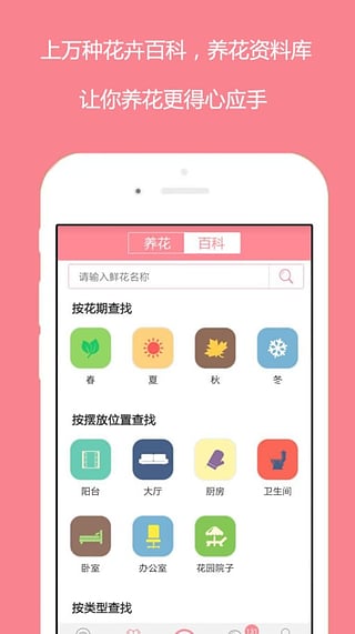 花开APP全新版下载，尽享独特功能与体验