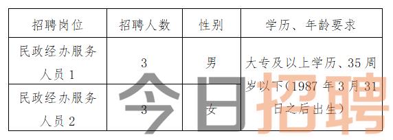 阜阳最新招聘信息更新，职业发展的无限机遇探索