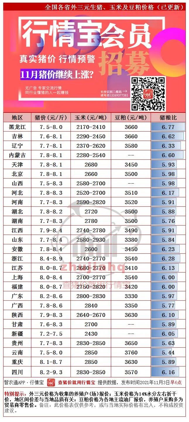 今日猪价预测及市场走势与未来趋势展望