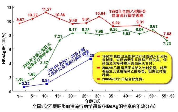 乙肝研究新突破，进展概览与未来展望