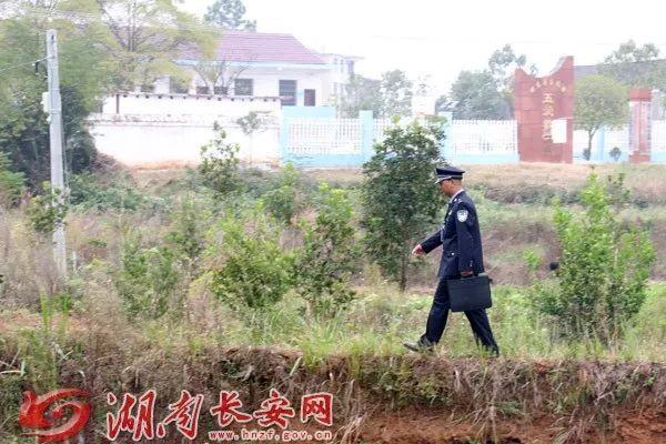 湖南辅警改革最新动态，警务工作迎来新跨越发展