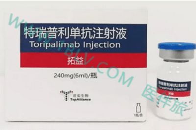 特瑞普利单抗最新价格动态与市场影响深度解析